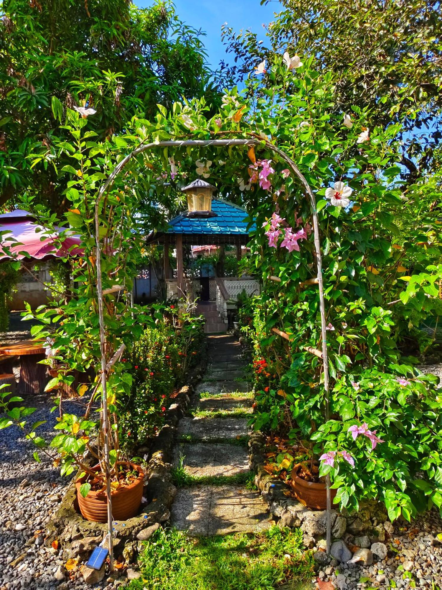 Monte Rio Gardens Bed & Breakfast 알라미노스 외부 사진