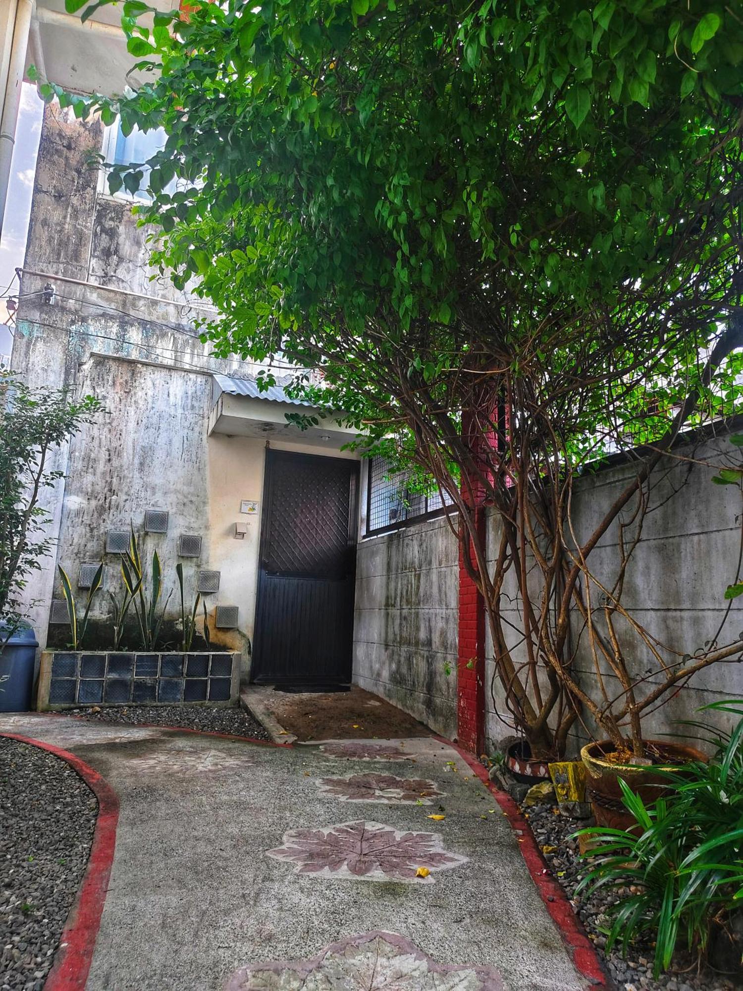 Monte Rio Gardens Bed & Breakfast 알라미노스 외부 사진